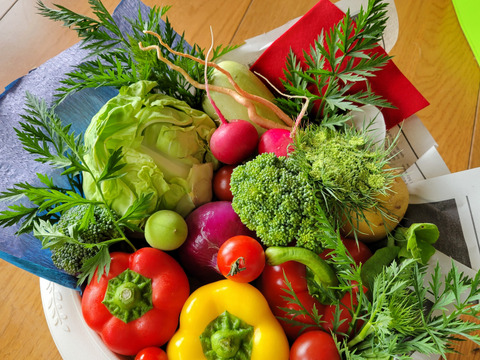 旬の京野菜ブーケ❗【大切な方への贈り物に！】【母の日ギフト】