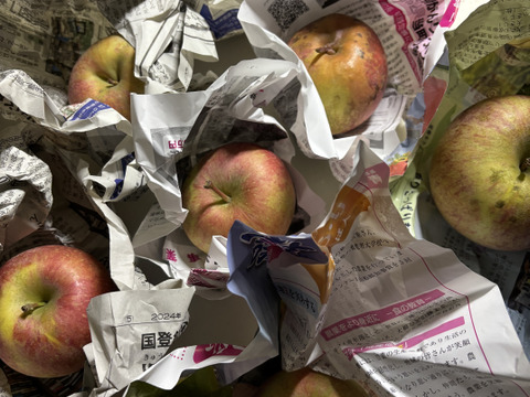 シャキッとジューシー☆葉取らずふじりんご🍎！小玉中心です。5キロ箱バラ詰め家庭用