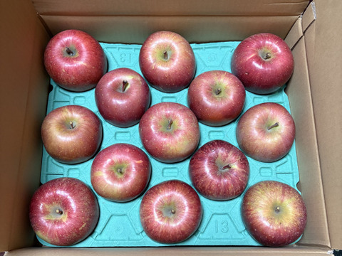 【販売中！人気商品】青森県産りんご「サンふじ」家庭用 キズ有 約5kg【美味・光センサー選果済】