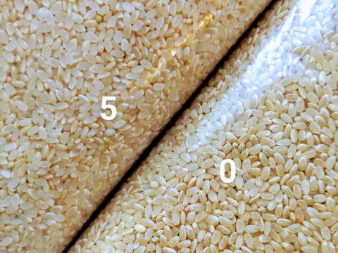 ((北海道・中国・四国・九州))の方向け【メール便】宅急便コンパクト【5分づき精米 2kg 】【特別栽培コシヒカリ】動物性堆肥不使用・低農薬（80％以上減）有機肥料✨AW2023米穀類１位✨令和６年産