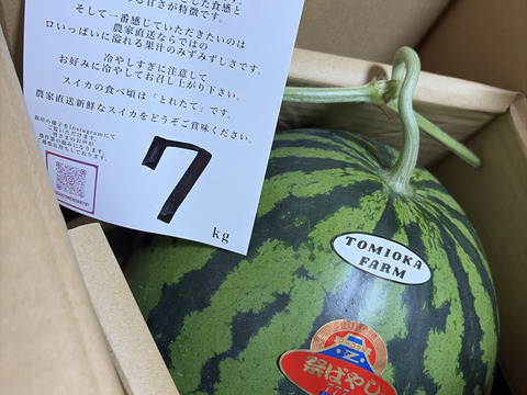 【2026年春！】熊本発！春の大玉スイカ1玉