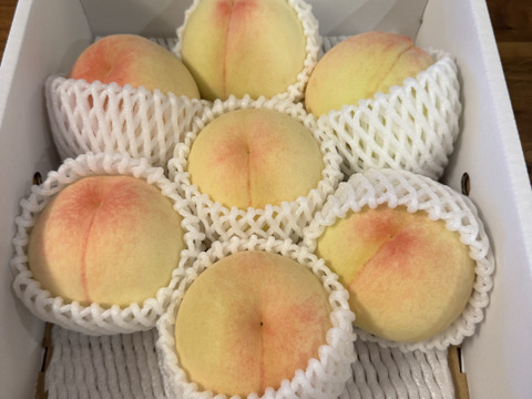 樹上完熟でお届け！岡山白桃【朝どれ】【白鳳・清水白桃・おかやま夢白桃】（ご家庭用・約2kg）