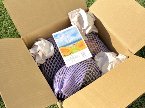 【2種類楽しめるセット】自然栽培の美味しさを知っている方へ向けて作った、とっても甘い万次郎かぼちゃ（良品1個と訳あり品1-3個のセット 4kg以上）農薬•化学肥料•除草剤不使用