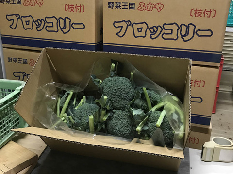 野菜王国深谷産♡新鮮美味しいブロッコリー!!