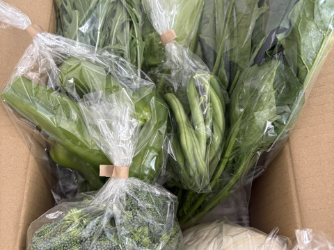 Sサイズ ＊旬野菜セット(約6~7品)【農薬：栽培期間中不使用】