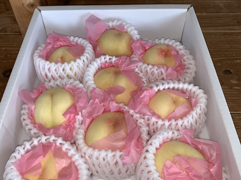 樹上完熟！岡山県備前市産びぜん白桃【加納岩白桃・紅清水白桃・末木白桃の３種のうち１種】約2kg