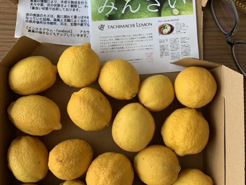 オススメ◆こぶりレモン1.2kg◆農薬不使用◆広島県産レモン　数量限定！