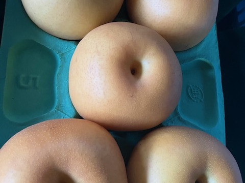 厳選！暑い夏にぴったり【凜夏梨】小箱（５～６玉入り）