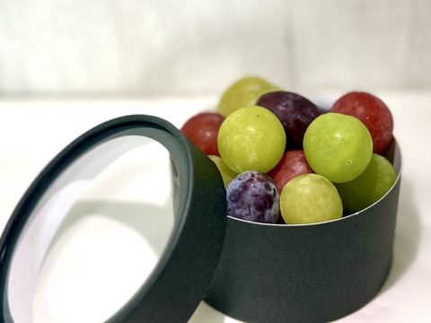 【彩り粒ギフト】色とりどりのぶどうのギフトー彩珠ー