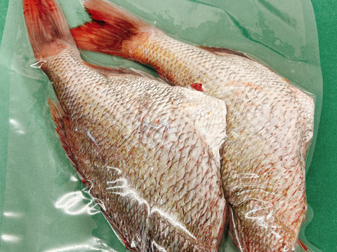 【色々あって特価です】簡単調理でキッチン綺麗！タイドレス２尾入１P500g×３