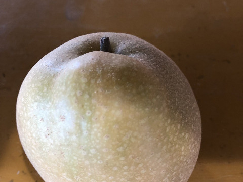 豊水　家庭用10㎏超特大18玉