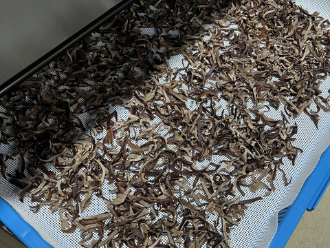 福岡県糸島産乾燥きくらげスライス25g×8個(200g)