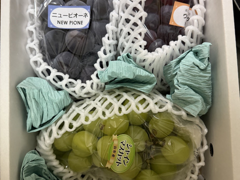 葡萄詰合せ2kg箱