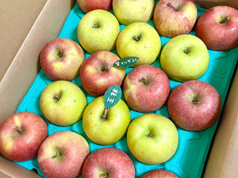 ★★新春セール★★【食べ比べ】🍎葉とらずふじ🍏王林（家庭用１３～２０玉）約５キロ　ID124974