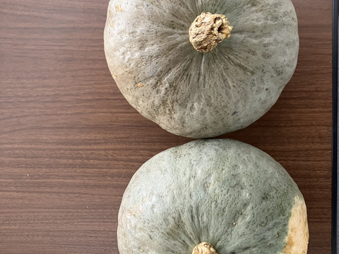 かぼちゃ　雪化粧　約4キロ