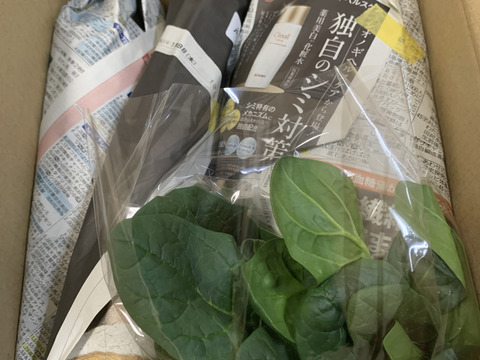 季節の朝採り8〜10品目 農薬化学肥料不使用　80サイズ