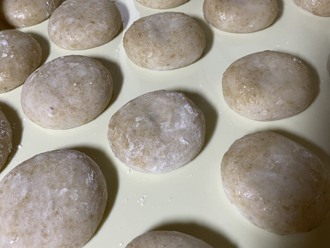 お餅真空パック　10個入り　玄米餅