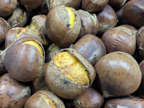 NEW☆彡氷蔵熟成栗かねこさんちの国産焼き栗（3パック）