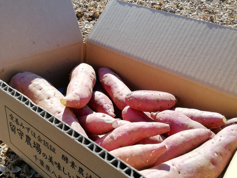 【バラエティパック】留守農場の熟成紅はるか【無選別品4㎏】