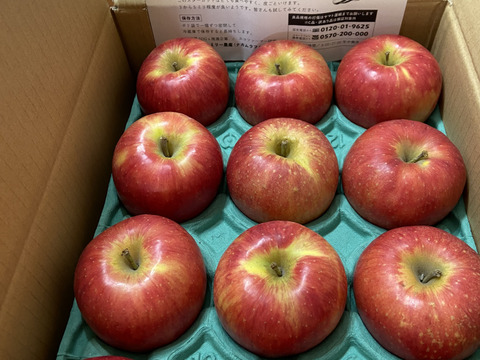 2月2日完売🙇 満点青空レストランで話題です🍎【りんごの概念変わります】奥州ロマン 3キロ箱 6玉〜15玉サイズ 長野県 信州 安曇野 リンゴ 幻  希少  甘い 幻の林檎  ID52109