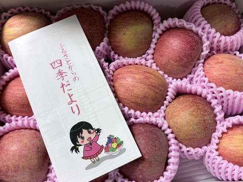 まるせい果樹園のサンふじ　贈答用　家庭用　自家用　小玉　約3キロ rfk