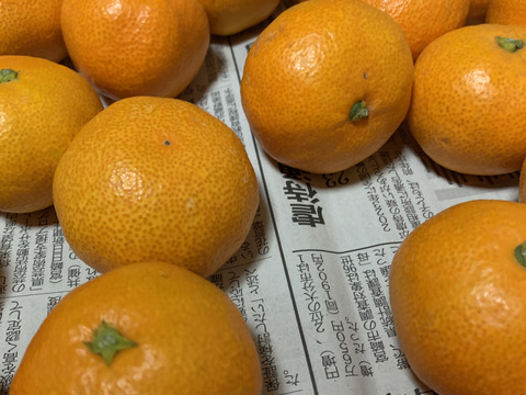 【最高級】真穴（まあな）産地直送　極上みかん　2S～Sサイズ　3Kg やや小ぶり　贈答　【冬ギフト】