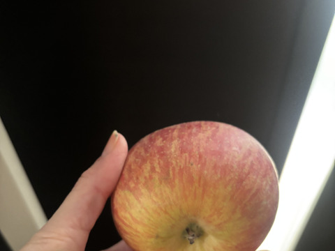 蜜入りも!! りんご 家庭用★サンふじ 約5キロ (10〜20玉) ★農薬節減りんご 訳あり ご自宅用