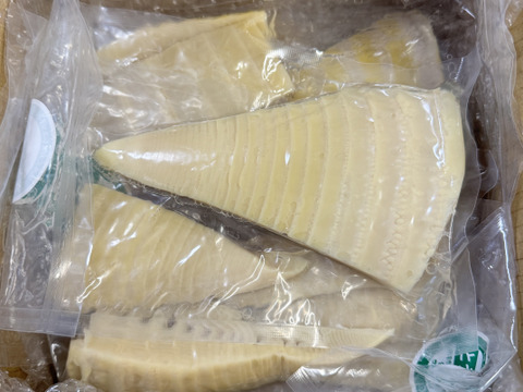 新鮮即茹で！静岡産やわらか筍水煮 (使いやすい150ｇの5個セット)
