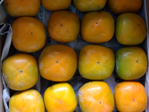 クール便発送　激甘干柿3kg 柿の専門