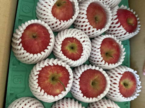 【幻の小玉第3弾】スリムレッド シャキッとジューシー 3キロ箱使用 10〜25玉程度　商品ID51599 長野県 信州 安曇野 リンゴ 幻 幻のリンゴ 予約 希少 旬