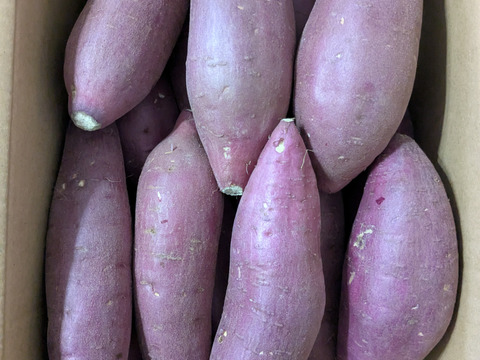 ねっとり極甘さつまいも！熟成紅はるか約2.5kg（s~2Lサイズ不揃い詰め合わせ）