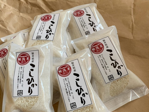 「１０００円ぽっきり」無洗米こしひかり１合パック×４パック