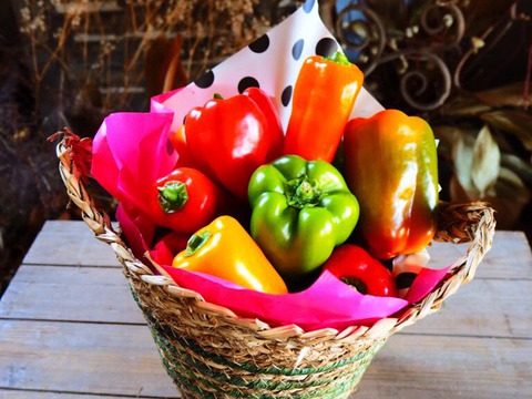 岡山県産　パプリカ1kg詰め合わせ