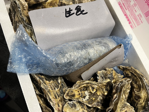 【期間限定10％値引き販売中】剥き身セット🚚2.3kg 生牡蠣🦪生食用むき身300g+殻付き牡蠣普通サイズ ２kg（目安12-32個）松島牡蠣屋 C