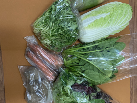 寒暖差が美味しさの秘訣！高原野菜セット【M: 2〜3人用】