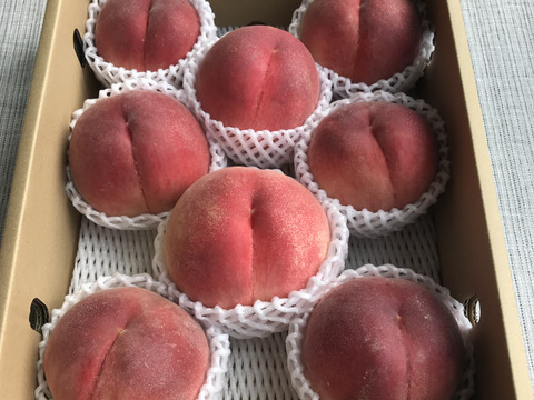 山梨県産かための”甘〜い桃” 約３kg（８～11玉）【冷蔵便】贈答　ギフト　ご家庭にも