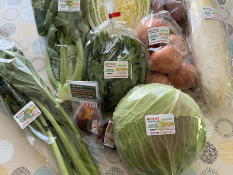 《お徳》味に自信あり豆乳で育った特別栽培　旬の野菜セット＋おまけ【初回限定BOX】