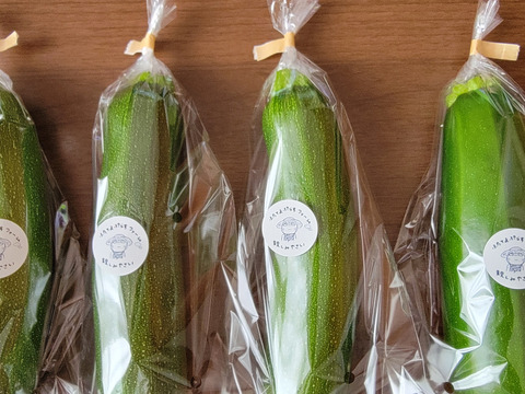 サラダでも食べられる大きなズッキーニ「緑」約2kg（5~6本）