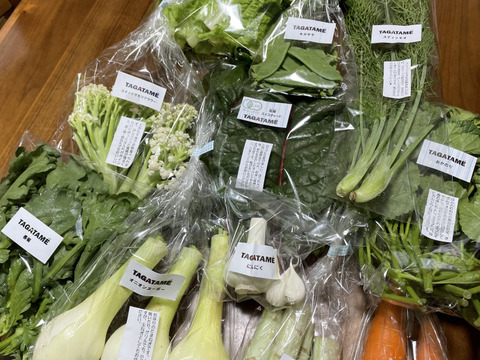 【旬を楽しむ♪】おまかせお野菜セットA（約7～10品）
通年お野菜を切らすことなく栽培しているタガタメはいつでも注文可能です☺︎
20時までのご注文で翌日発送！