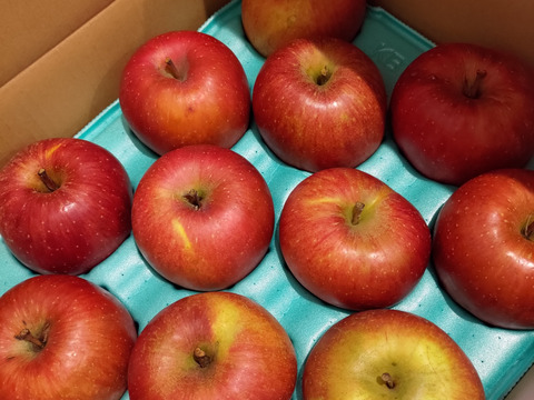 【大玉🍎】葉とらずサンふじ🍎訳あり５Kg　青森県産