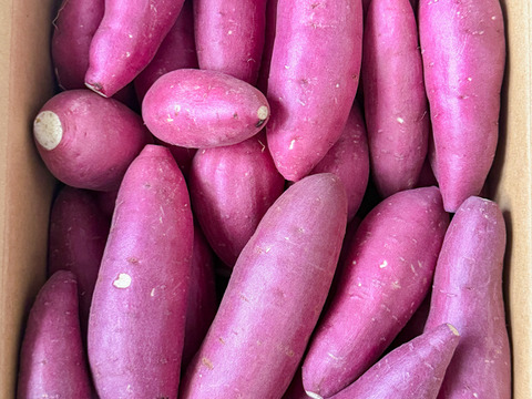 熟成紅はるかの小芋だけ詰込みました。60サイズ箱、約2.5kg入り（Mサイズ以下）