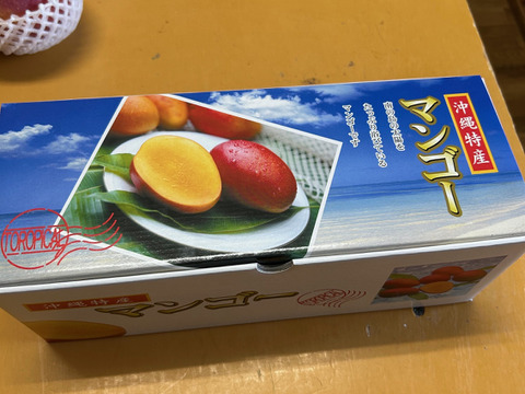 ★数量限定★沖縄県産 完熟マンゴー1kg（2~3玉）！