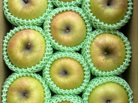 甘～いりんご✨ぐんま名月 約3kg 信州りんご