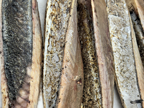 期間限定！サービス１匹つき！獲れ次第発送‼️紋ズマカツオ(ヤイトカツオ)6匹入り！　１匹約400〜500g