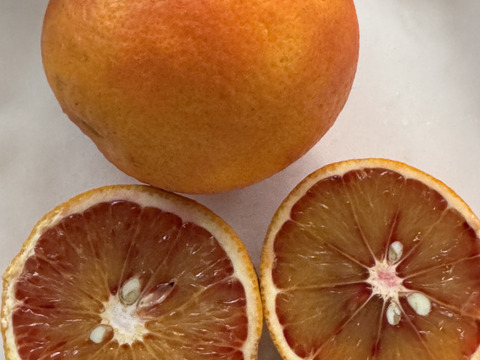 ブラッドオレンジ　モロ