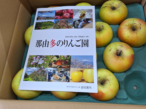 食べた時の甘みが病みつきになる！家庭用ぐんま名月5kg