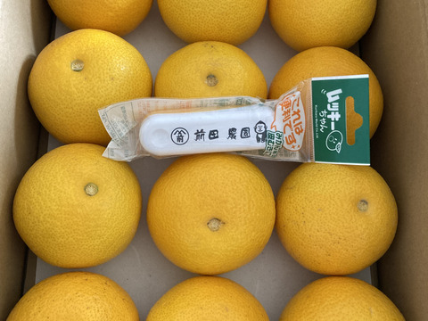 【特別栽培】和歌山県産【極ウマ】　八朔(8個～10個入り)