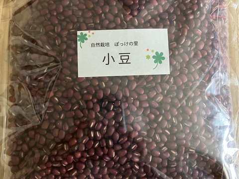 【北海道自然栽培】ぽっけの小豆（新豆）500㌘