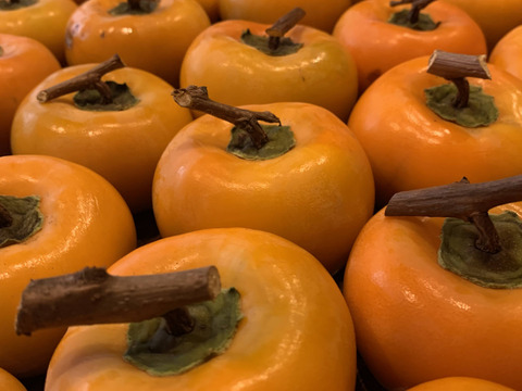 腸活に！おなかも喜ぶ！あま〜い干し柿200g〈農薬・化学肥料不使用、無添加〉