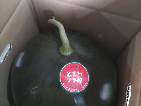 黒皮大玉すいか　6〜8Kg